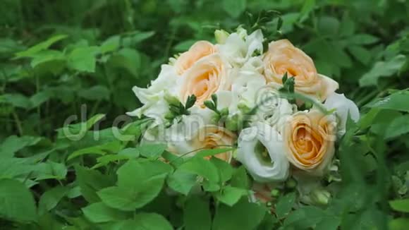 绿色草地背景上美丽的玫瑰花束剪辑草地上的一束玫瑰视频的预览图