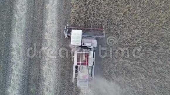 联合收割机的俯视图它在田间工作播种小麦视频的预览图