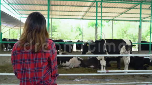 美丽的亚洲妇女或农民与奶牛场奶牛场农业和畜牧业概念视频的预览图