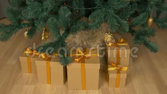 起重机在室内上下倾斜近距离射击圣诞树与仙女灯电花环闪烁礼品盒视频的预览图