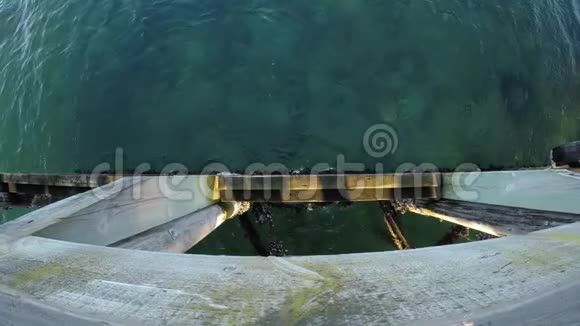 夏季码头下平静的碧波视频的预览图