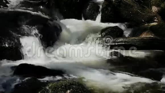 富米河水视频的预览图