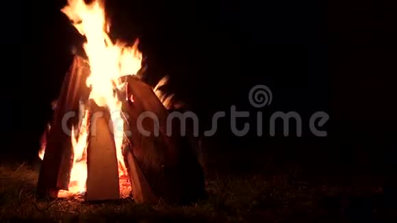火在夜晚燃烧篝火在漆黑的秋夜温暖视频的预览图