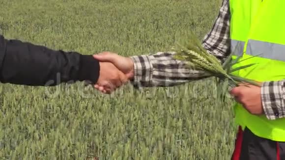 农民们在谷地上握手视频的预览图