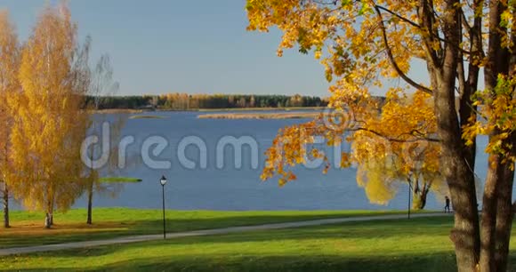 人们在湖边享受秋天的心情视频的预览图