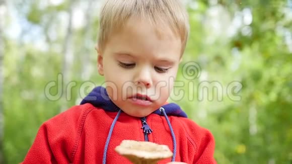 秋天一个孩子在公园散步一个孩子拿着一个白色的蘑菇视频的预览图