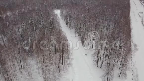 鸟瞰雪松树和一点蜿蜒的溪流剪辑积雪覆盖的冬季森林的鸟瞰图视频的预览图