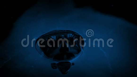 夜晚漂浮在水中的Terapin视频的预览图
