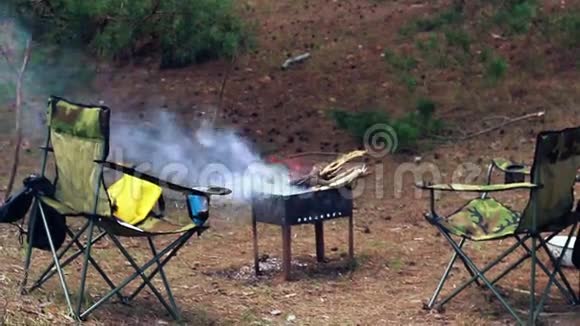 在森林里露营在森林里露营椅子和烧烤视频的预览图