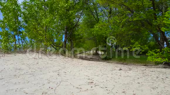 美丽的海滨夏日绿树成荫具有绿色自然景观的沙洲视频的预览图