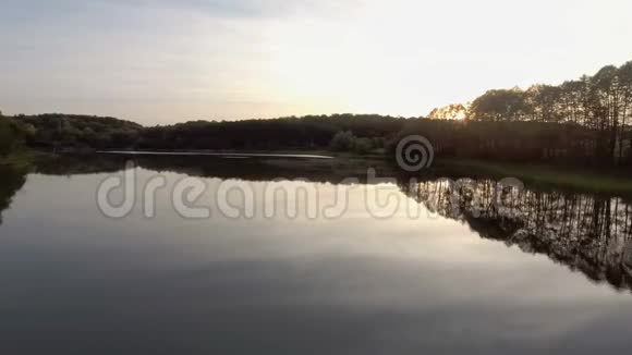 日出时的森林湖空中观景视频的预览图