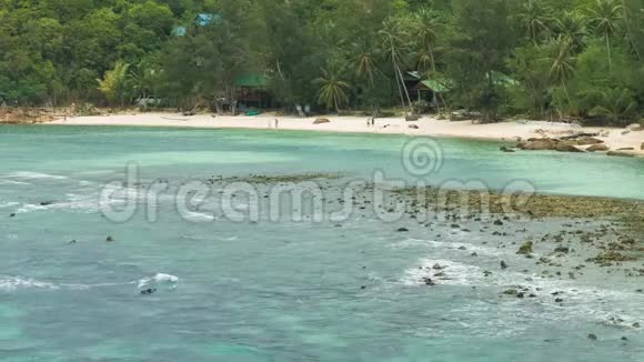 热带沙滩低潮时棕榈树和蔚蓝的海浪翻滚视频的预览图