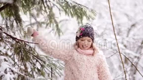 女孩从森林里的树枝上摇雪快乐的童年冬季乐趣视频的预览图