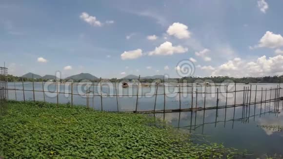 湖中的睡莲和竹篱笆视频的预览图