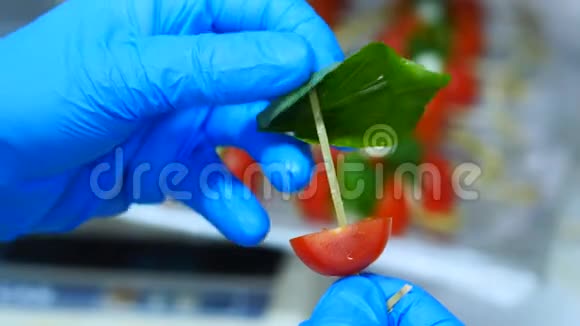 经典的意大利卡布雷斯香菜沙拉与西红柿莫扎雷拉和新鲜罗勒视频的预览图