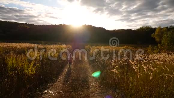 一个小女孩穿过秋天的田野从日落中发光慢动作视频视频的预览图