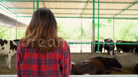 美丽的亚洲妇女或农民与奶牛场奶牛场农业和畜牧业概念视频的预览图