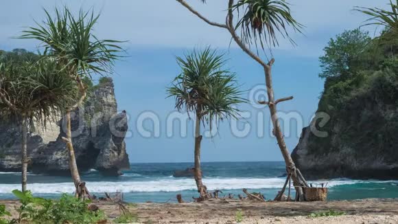 巴厘岛KlungkungNusaPenida岛的Atuh海滩岩石前面的海滩上的Pandanus热带棕榈树视频的预览图