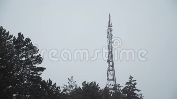 一座电视塔在多云的冬季天空和森林中的树木上视频的预览图
