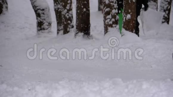 木制雪橇上的小女孩从松林的一座雪山上下来慢动作视频的预览图
