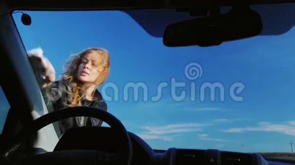 年轻迷人的女人擦拭汽车的挡风玻璃从车里看在红色蓝色的背景下视频的预览图