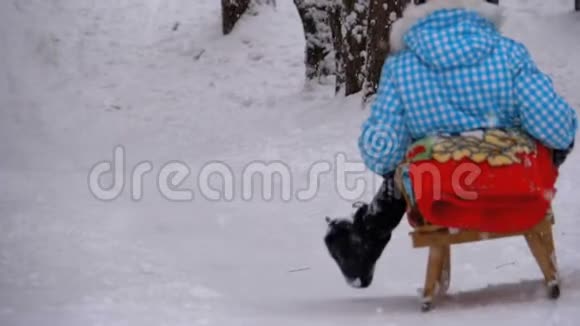 木制雪橇上的小女孩从松林的一座雪山上下来慢动作视频的预览图