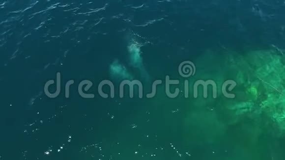 无人驾驶飞机从水下带走的气泡视频的预览图