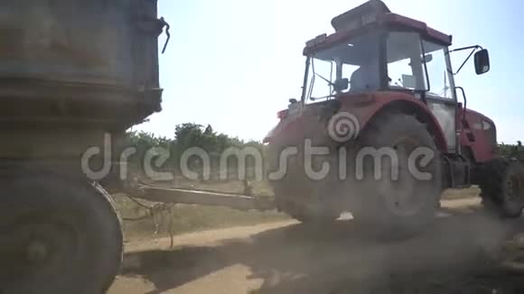 在葡萄园里收割一辆拖拉机把葡萄运到卸货点视频的预览图