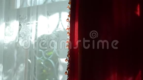 晴朗的晴天窗上挂着美丽的红白相间的窗帘装饰珠上阳光明媚的眩光视频的预览图