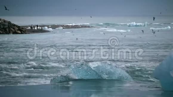 一群鸟飞过海洋中的冰块安德列夫视频的预览图