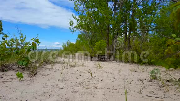 美丽的海滨夏日绿树成荫具有绿色自然景观的沙洲视频的预览图