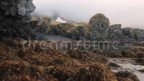 冰岛海湾岸边的藻类安德列夫视频的预览图