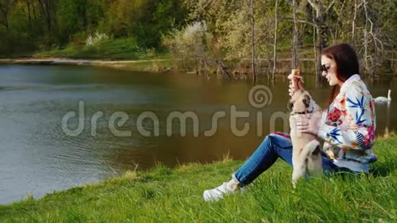 在公园里休息带着一只狗和零食去热狗一个年轻的女人坐在公园里的湖上玩她的球视频的预览图