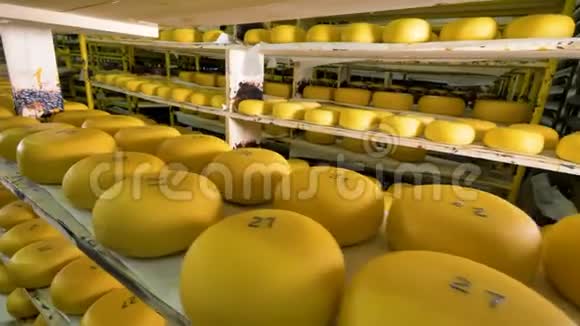 许多奶酪被存放在奶酪工厂视频的预览图