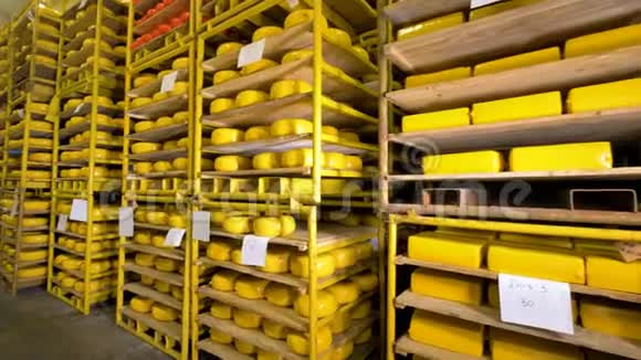 存放在奶酪工厂的不同类型的奶酪视频的预览图