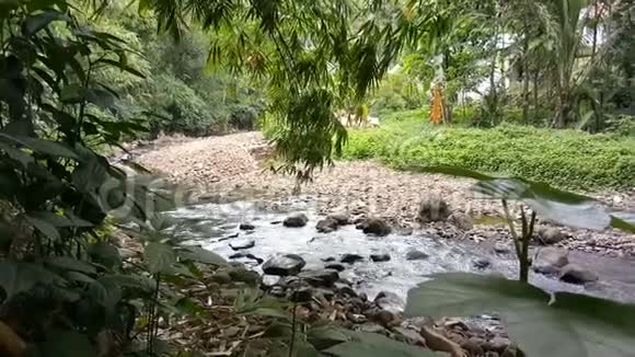 在河中流动的水与岩石和植物视频的预览图