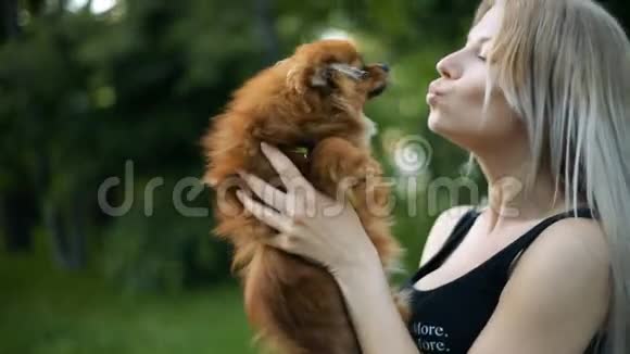 金发碧眼头发飘逸的女人与波美拉尼亚犬嬉戏亲吻微笑视频的预览图