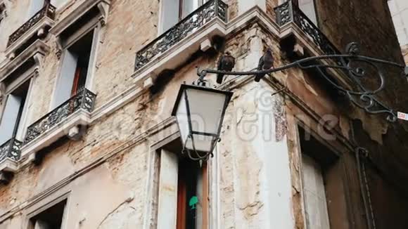 在威尼斯鸽子坐在一根旧灯柱上古建筑视频的预览图