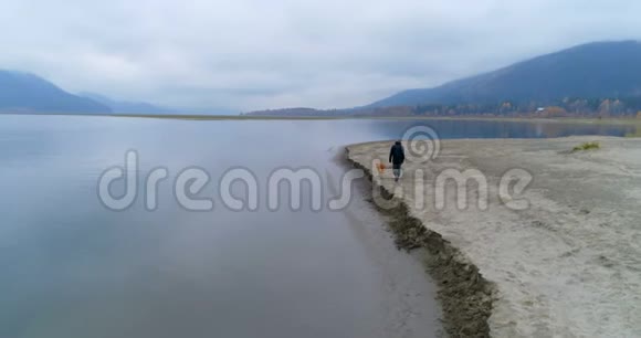 一个人带着他的狗在湖边走4k视频的预览图