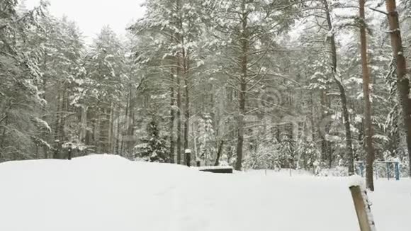 冬天的树木下着雪飞射在森林里视频的预览图