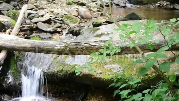 苔藓岩石上的瀑布视频的预览图