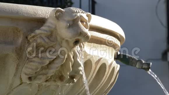 公共喷泉喷水中狮子口雕刻的细节视频的预览图