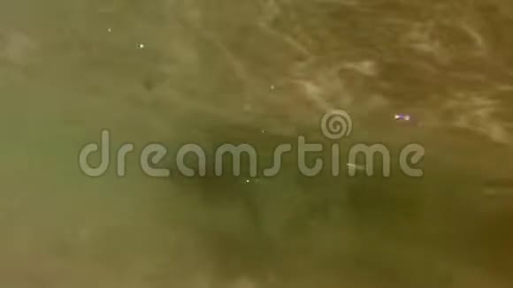 博尔德海滩水下游泳视频的预览图