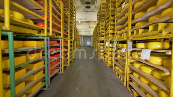 黄色和橙色的奶酪车轮在双面货架上的仓库4K视频的预览图