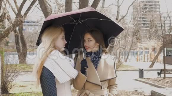在公园里见朋友下雨时两个金发女孩和一个黑发女孩站在伞下一个年轻人视频的预览图