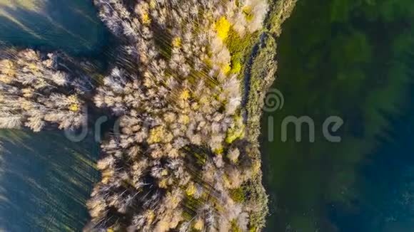 鸟瞰黄色野生森林和水视频的预览图