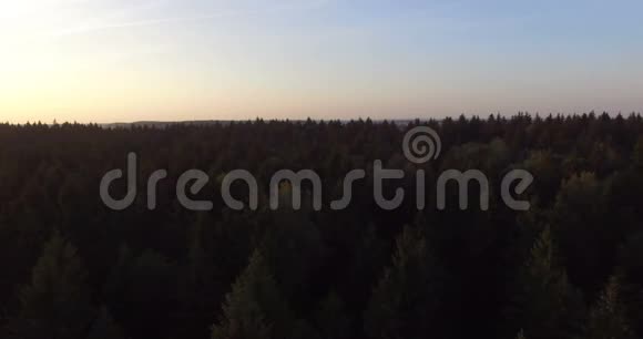 森林空中无人机镜头的日落视频的预览图