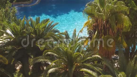 豪华酒店的室外游泳池视频的预览图
