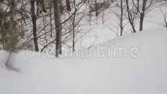 冬季景观与雪车视频的预览图