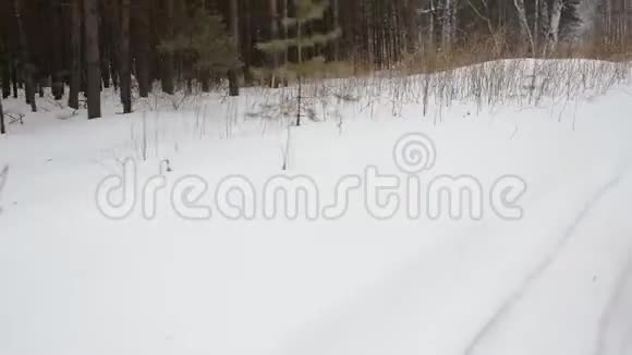 冬季景观与雪车视频的预览图